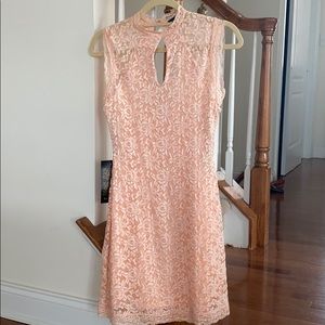 Nwt Bebe lace dress